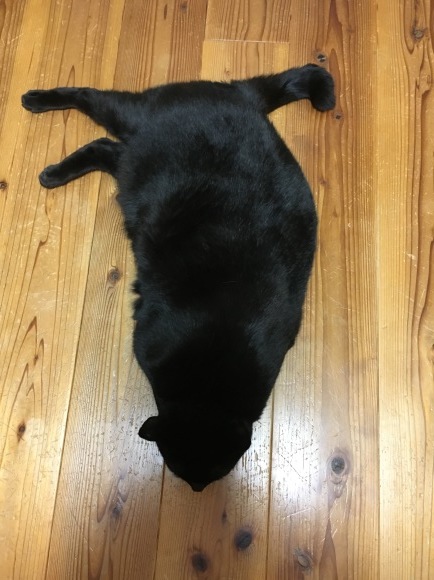 c0011300_22225180.jpeg