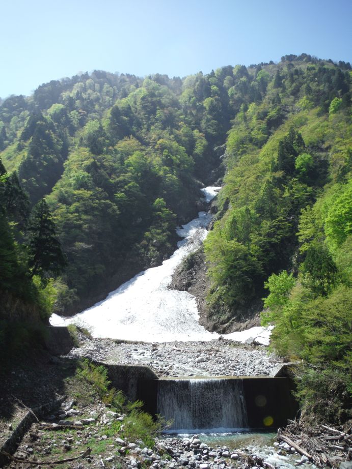 b0172805_10315373.jpg