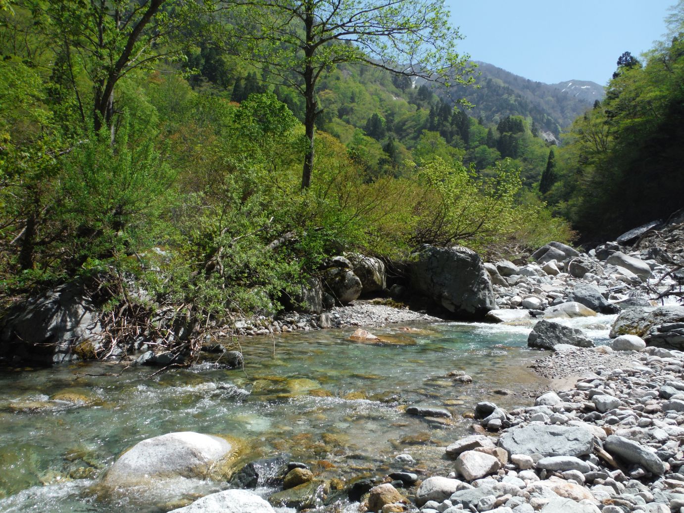b0172805_10321522.jpg
