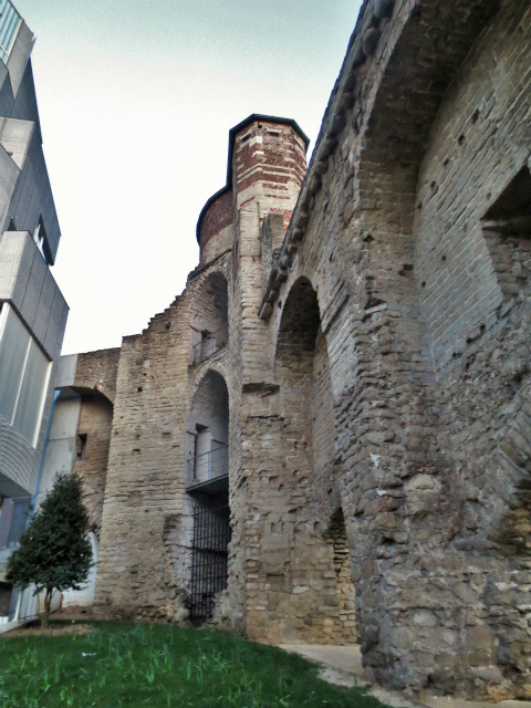 b0064411_07321873.jpg