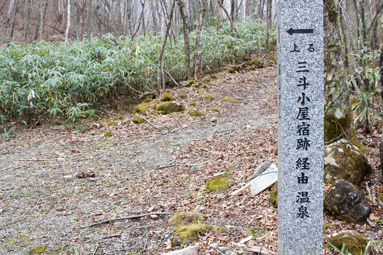 b0244811_22351758.jpg