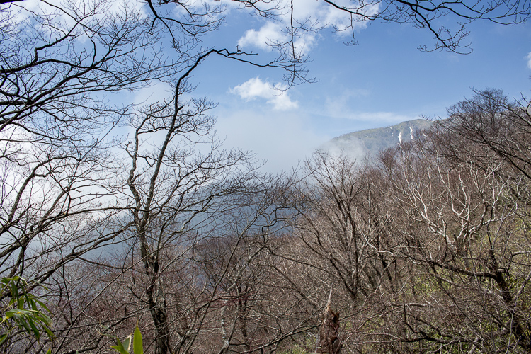 b0244811_22374070.jpg