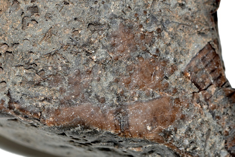 c0286530_16041746.jpg