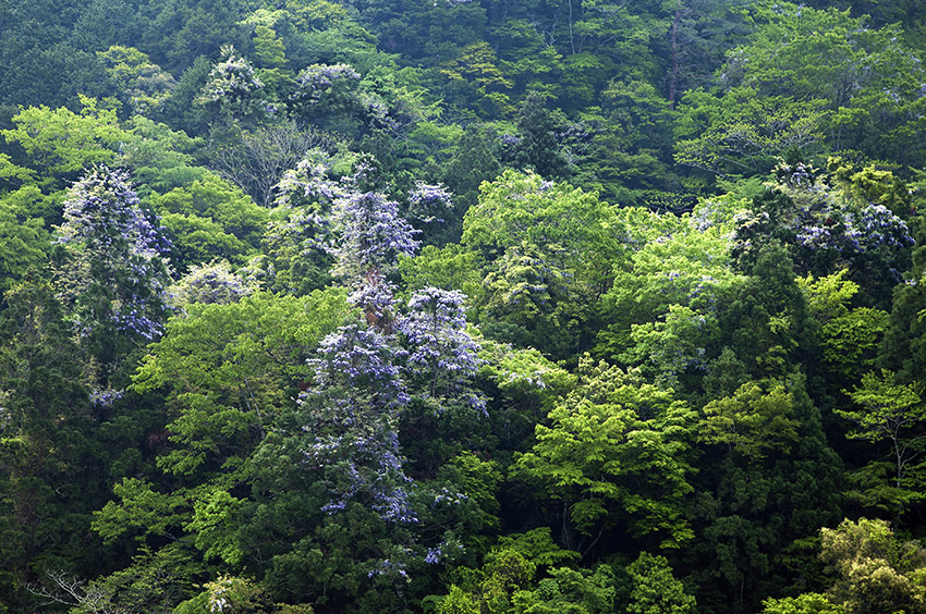 d0147530_13461132.jpg