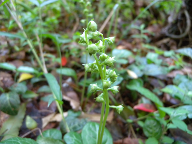 e0272335_1640312.jpg