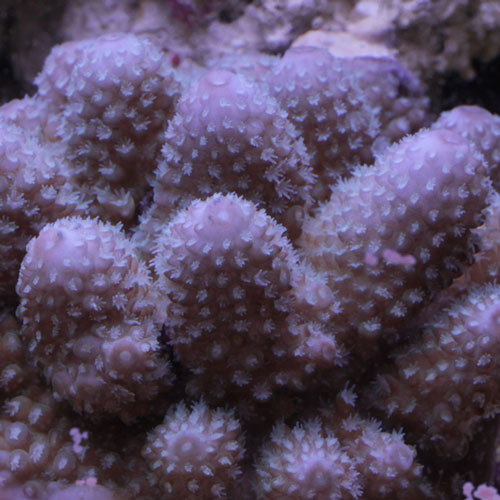 d0221436_23445270.jpg