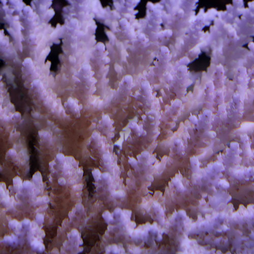 d0221436_23451087.jpg