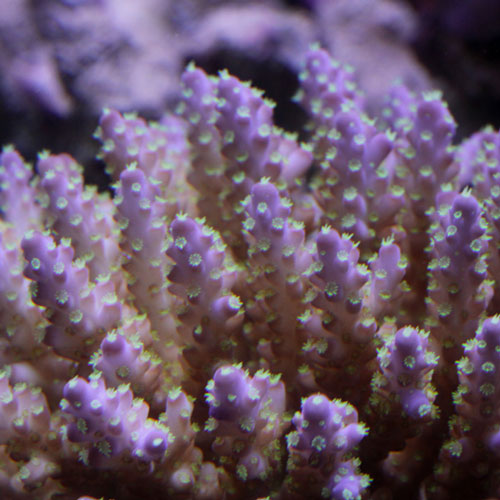 d0221436_2345214.jpg