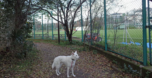 a0117039_2320473.jpg