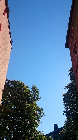 c0180339_1405185.jpg