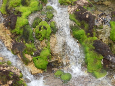 b0126549_2120725.jpg