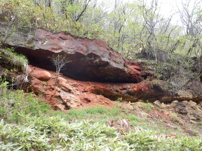 b0126549_21223961.jpg