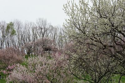c0139765_0145414.jpg