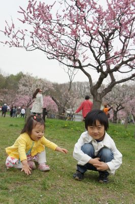 c0139765_018880.jpg