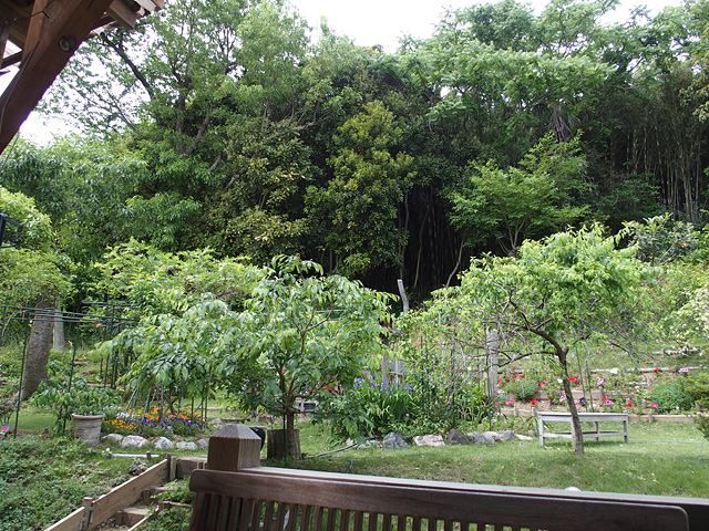 b0006870_22594070.jpg