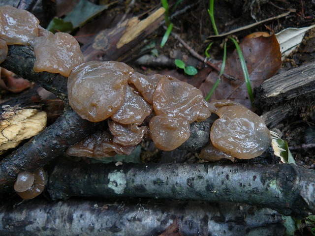 d0019074_13471829.jpg