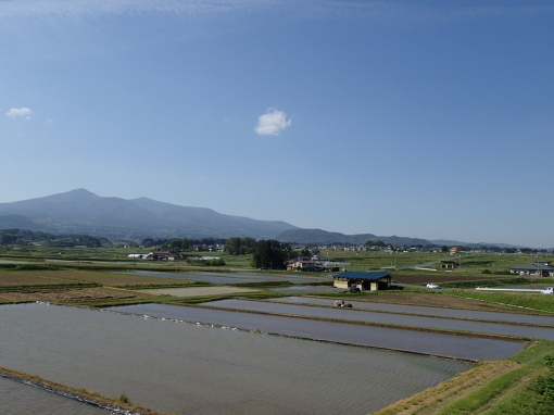 a0279883_22412041.jpg