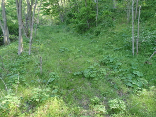 a0279883_22593354.jpg