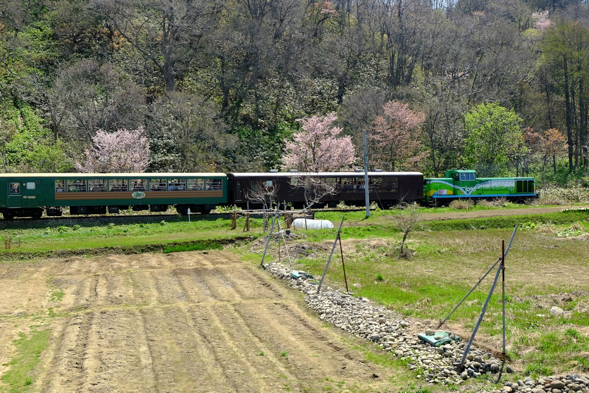 e0051186_20275466.jpg