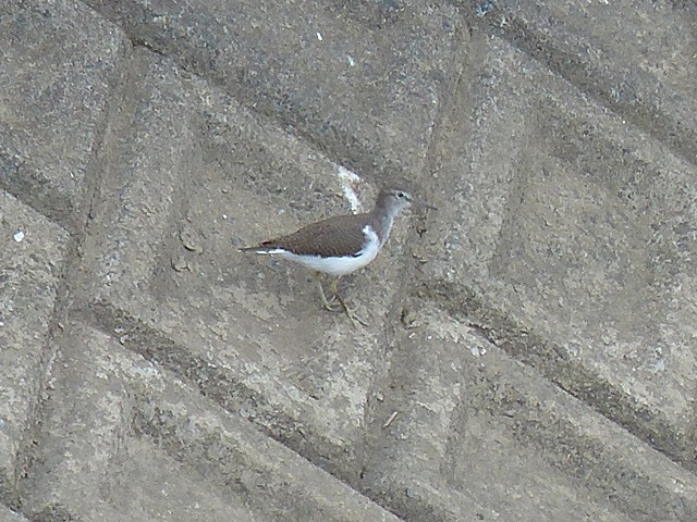 f0357487_2220731.jpg