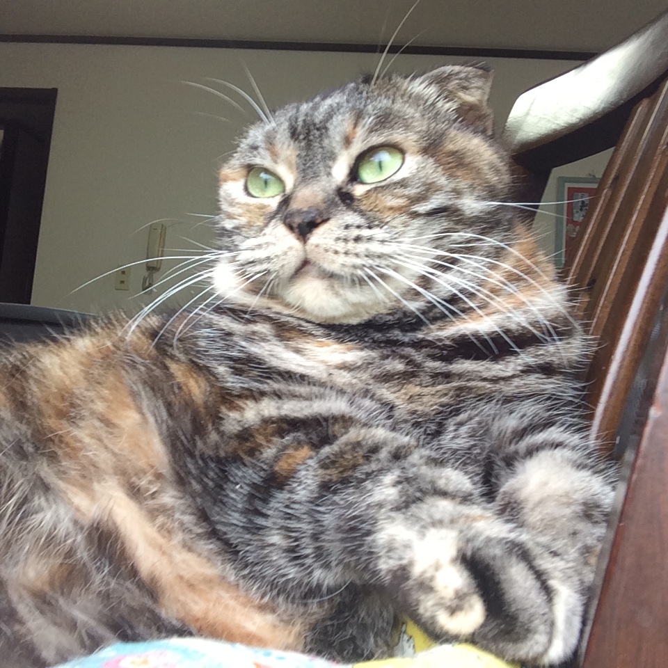 c0247096_21123778.jpeg