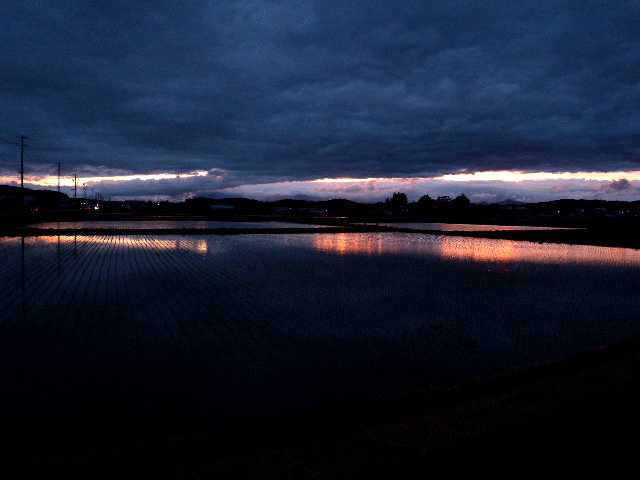 a0199297_2334583.jpg