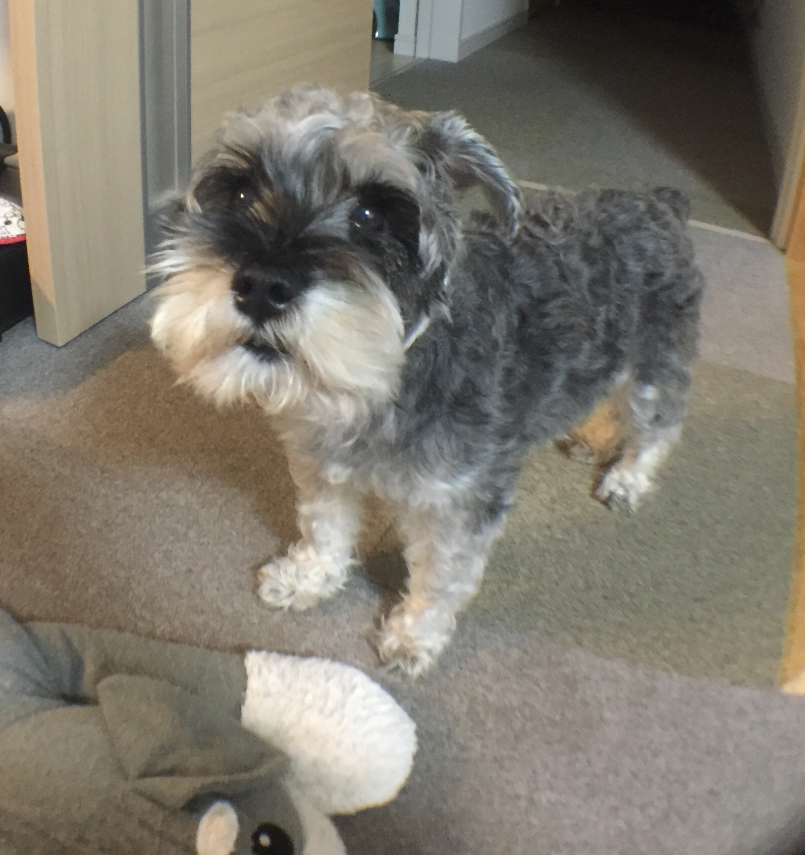 b0188998_21375247.jpeg