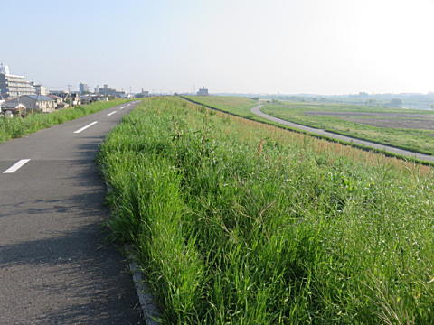 d0046702_6222079.jpg