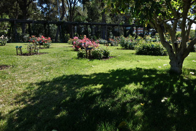 b0064411_00044615.jpg