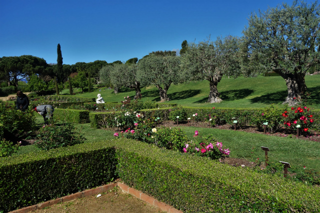 b0064411_00044659.jpg