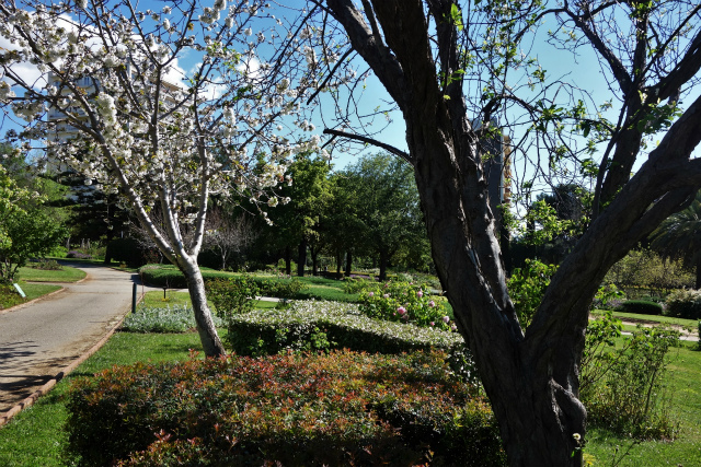 b0064411_00065740.jpg