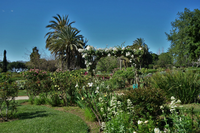 b0064411_00065765.jpg