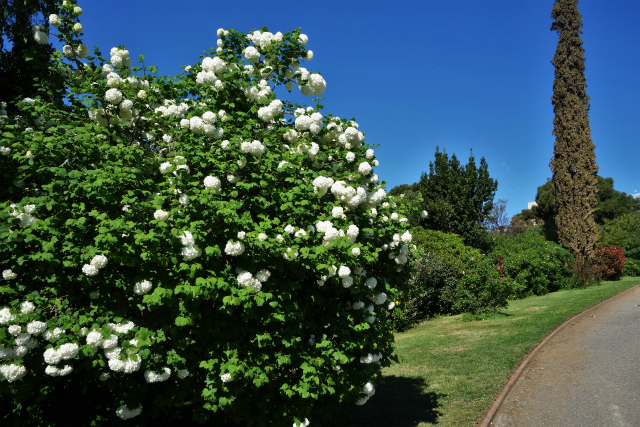 b0064411_00084450.jpg