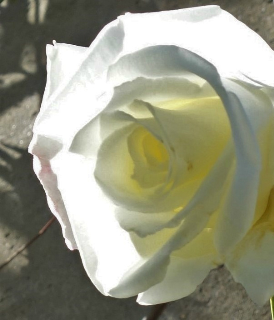 b0064411_00104123.jpg