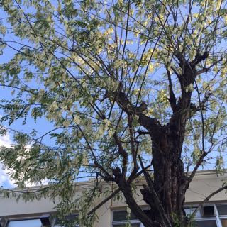 b0283019_8255587.jpg