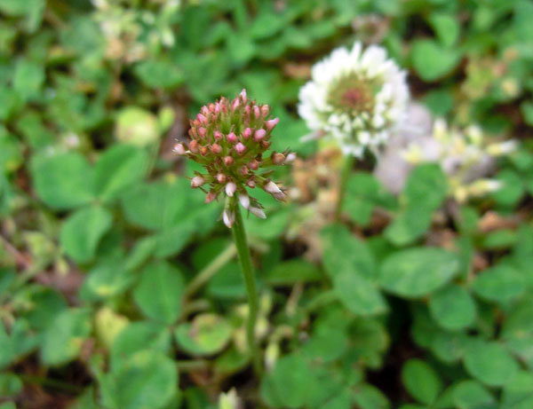 d0066822_14532749.jpg
