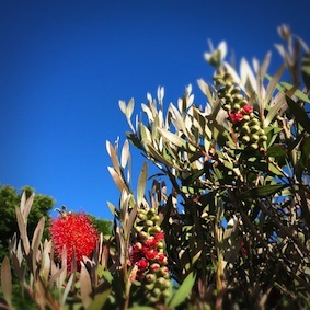 f0309325_08294581.jpg