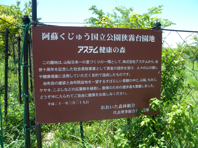 e0272335_17413564.jpg