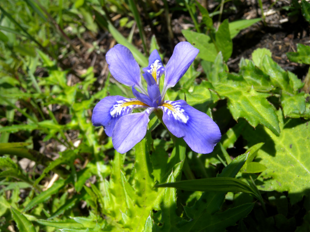 e0272335_1917892.jpg