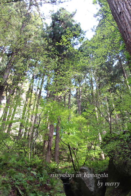 a0207736_2373948.jpg