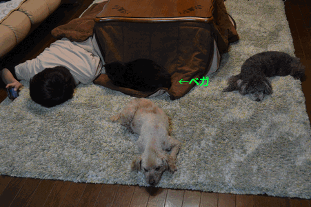 c0136736_9333397.gif