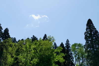 e0156339_21294792.jpg