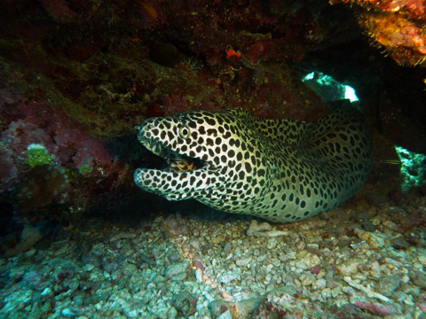 f0014842_18144435.jpg
