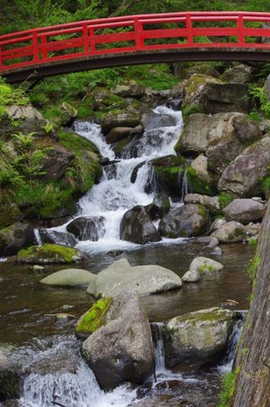 a0142343_1655241.jpg