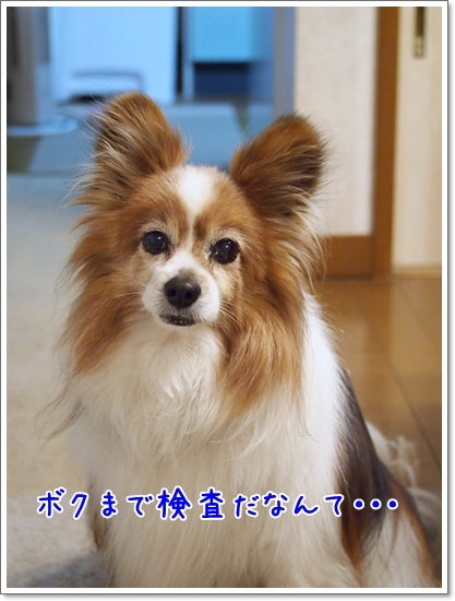 d0013149_22473355.jpg