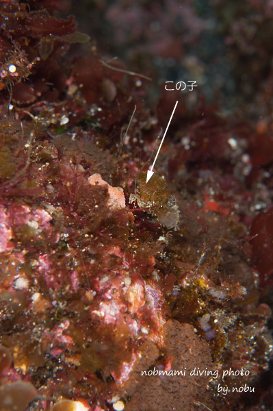 d0237353_6154037.jpg