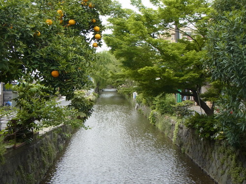 a0187861_13401482.jpg
