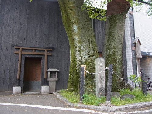 a0187861_214386.jpg