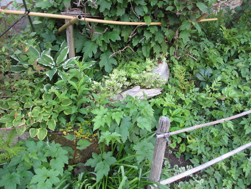 a0243064_10151988.jpg