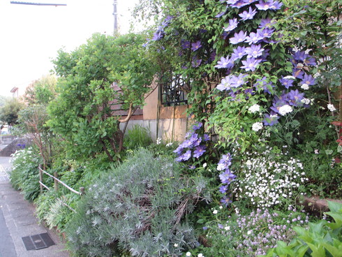 a0243064_10161272.jpg